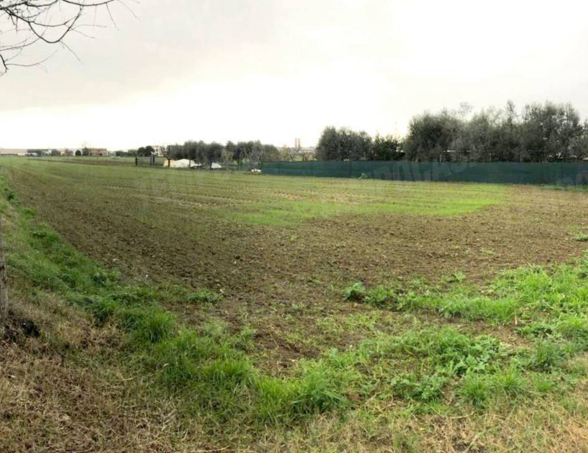 Terreno agricolo in zona collinare a Tarcento