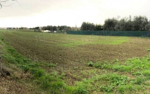 Terreno agricolo in zona collinare a Tarcento